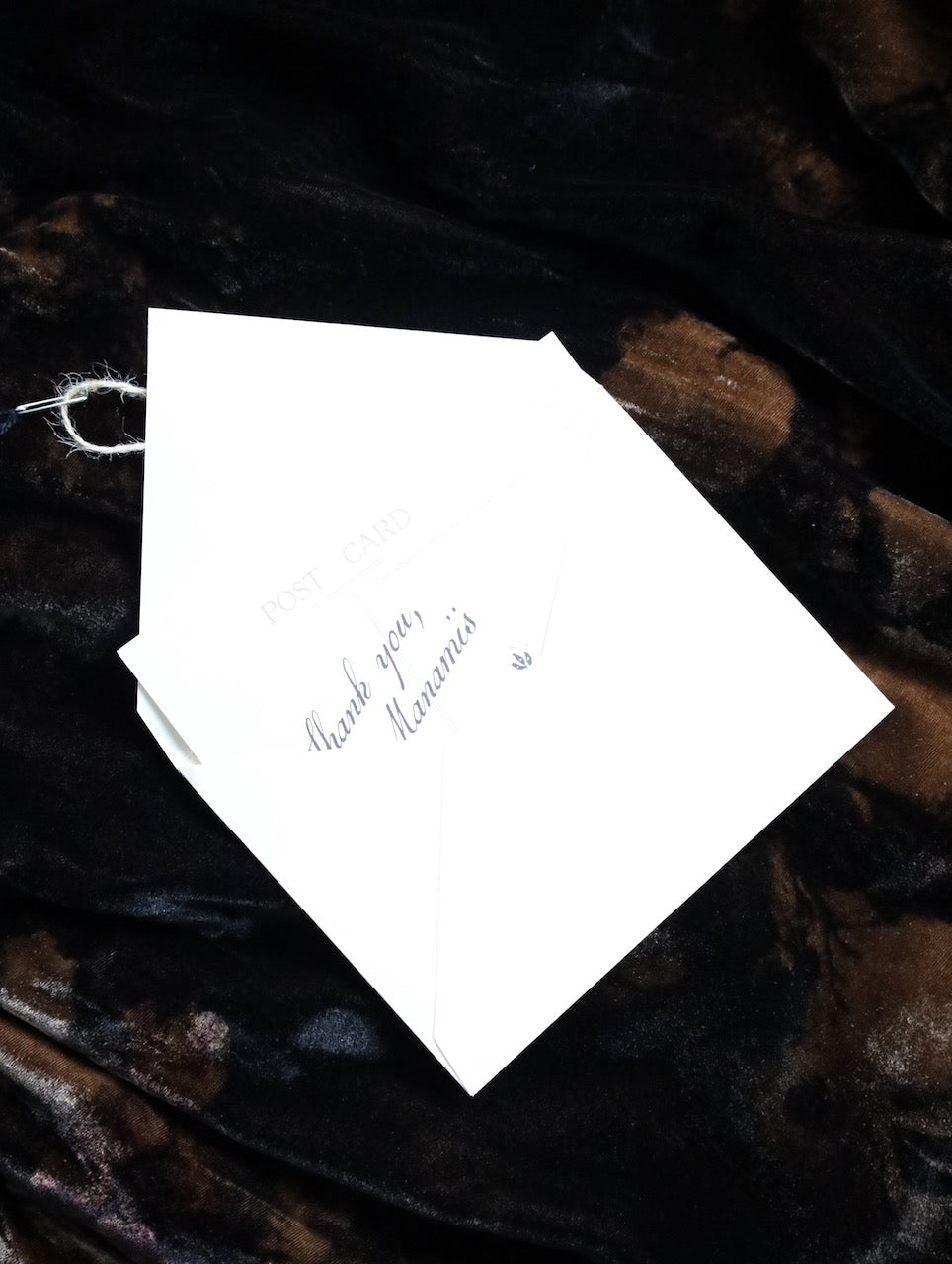 Aleksandr Manamis velvet gown