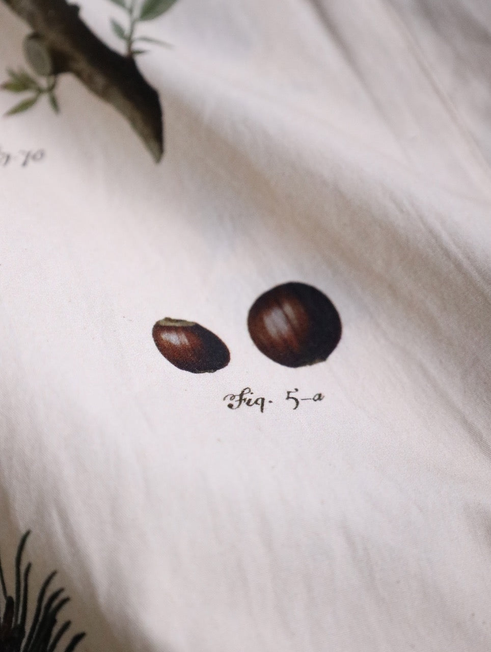 Aleksandr Manamis automne vert long shirt