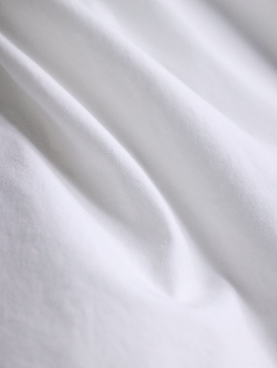 BURBERRY cotton shirt white
