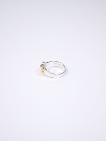 フック＆アイ コンビ リング 16.5号