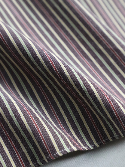 Ermenegildo Zegna BD stripe shirt multi